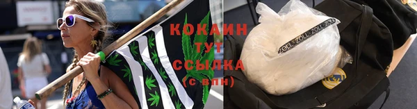 jwh Белокуриха