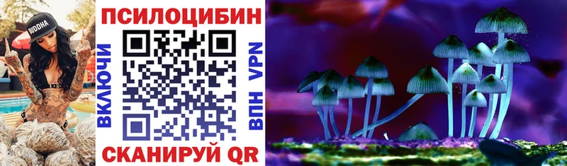 Псилоцибиновые грибы Psilocybine cubensis  где купить наркотик  Невьянск 